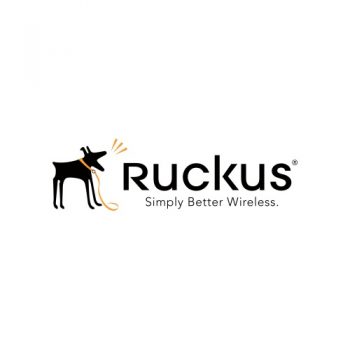 Ruckus Partner